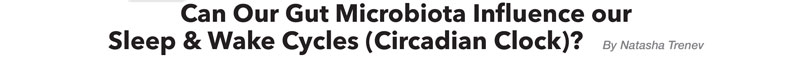 Can Our Gut Microbiota Influence our Sleep & Wake Cycles (Circadian Clock)?